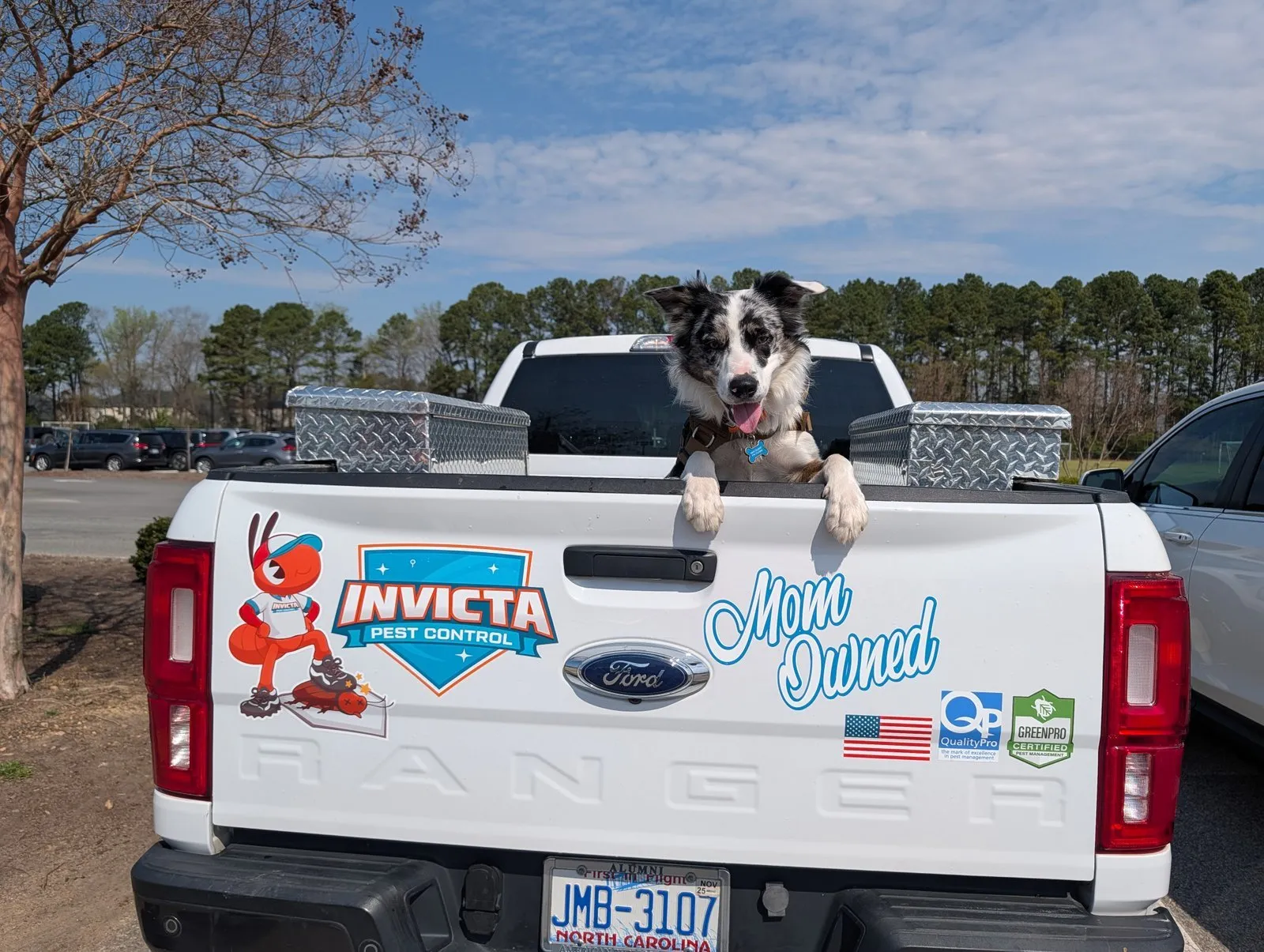 A dog riding in the back of an Invicta Pest Control truck