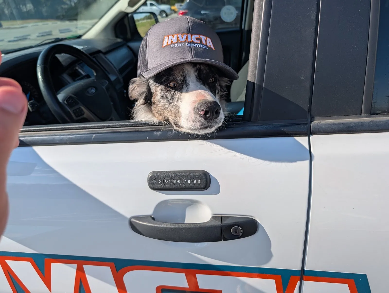 A dog in an Invicta cap looking out of an Invicta truck window